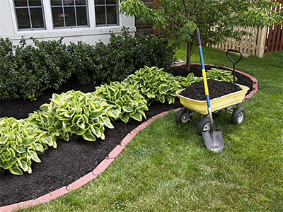 Landscape Maintenance Holly Hill, FL