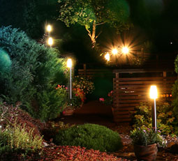 Landscape Lighting