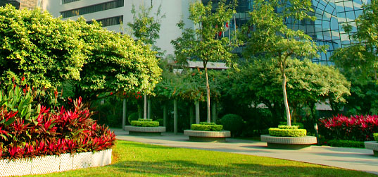 Commercial Landscaping