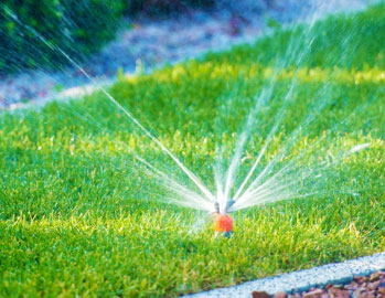 Irrigation / Sprinkler Installation & Repair